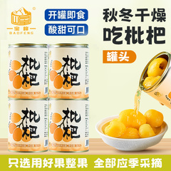 宝峰鲜果枇杷膏糖水商用水果567g克罐头无添加剂大罐琵琶无添加