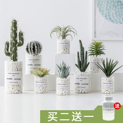多肉仿真植物ins北欧盆栽仙人掌绿植装饰假花桌面小摆件室内客厅