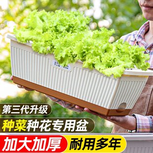 花沐鱼阳台种菜盆长方形塑料花盆家用长条懒人专用盆特大号种