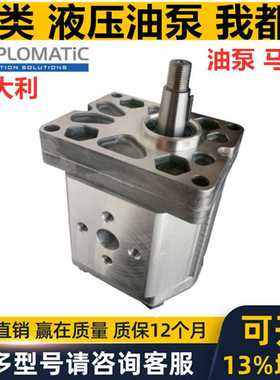 意大利DUPLOMATIC齿轮泵迪普马GP20113R97F20N GP20140R97F20N