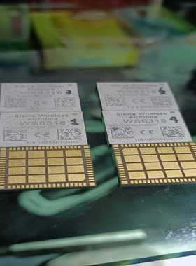 全新WS6318模块