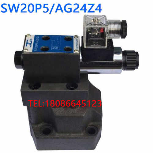 SW20PS/AG24Z4 SW30PS/AG24Z5 预压阀注塑机阀 预塑阀DYJ20