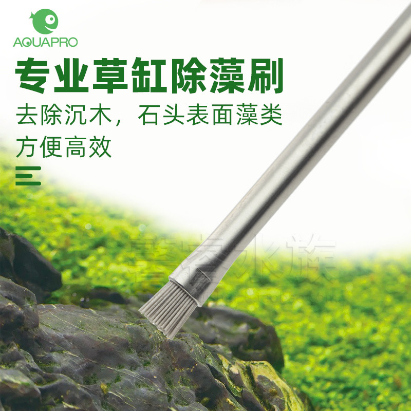 羡鱼鱼缸清洁水草缸专业除藻刷除黑毛藻除石头沉木附着藻类清理