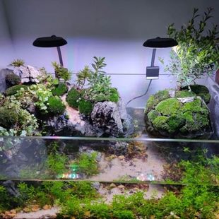 USB小型5V鱼缸灯藻缸溪流原生观赏缸LED全光谱水草灯5瓦7瓦可调光