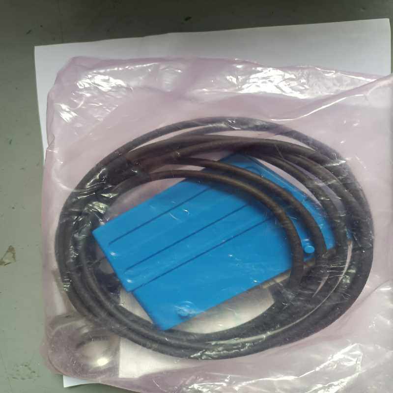 PMI传感器 Type:6613EQ13-C~议价