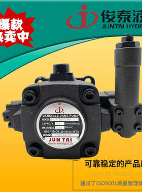 JUNTAI俊泰液压HVPF-30-D HVP-40F/A3 30F/A1 A2中压变量叶片