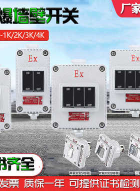 防爆墙壁开关BQK-1K 2K3K4K防爆照明开关SW-10单联双控单双联
