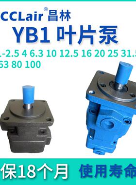YB-D4液压2.5油泵6.3叶片泵10 12 16 20 25 32 40 50YBD63 80 1