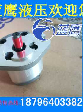 1AG1P01R/1GG1P01R/02R/03R/04R/05R/06R/08R/09R齿轮泵