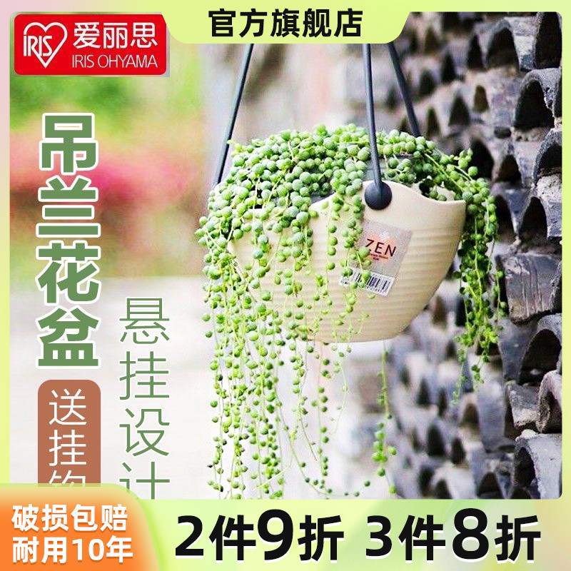 爱丽思垂吊吊兰花盆悬挂式塑料吊篮懒人绿萝常春藤吊球加厚爱丽丝