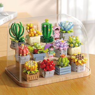 2025新款多肉盆栽花小颗粒积木山姆同款送女生闺蜜情人节生日礼物