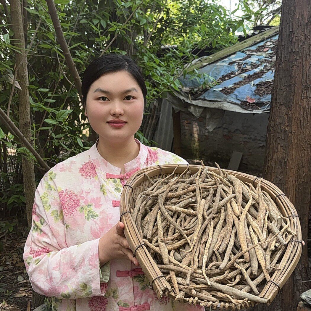 现收阿坝 藏民土货当归 炖汤炖鸡 煮水 煮鸡蛋 炖猪蹄炖排骨很香