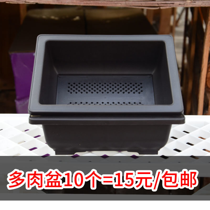 生石花花盆塑料仿紫砂多肉盆长方形加厚磨砂播种育苗盆棕色盆