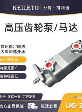 液压齿轮双联泵UG-22A-F12R油泵UG-22A-F11R/F33R/F44R/F55R/F6