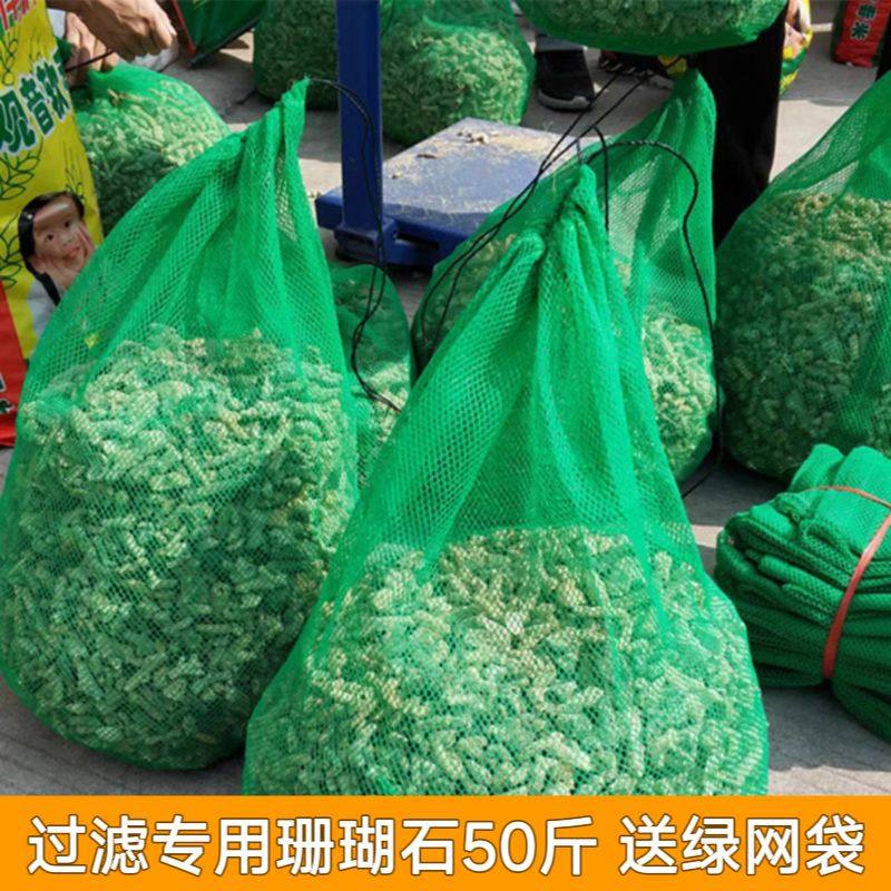 大块珊瑚石50斤锦鲤鱼池过滤材料鱼池滤材珊瑚骨天然珊瑚石过滤