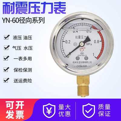 东亚仪表耐震压力表YN60水压油压液压表YN-60 0-0.6/1.625/60