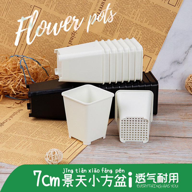 小白方多肉花盆塑料小黑方景天7方盆加厚小号高盆植物叶插育