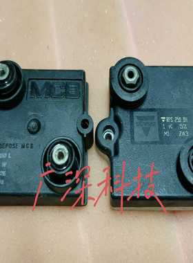 RCEC250L  RPS250DH 电阻模块 拍前~询价