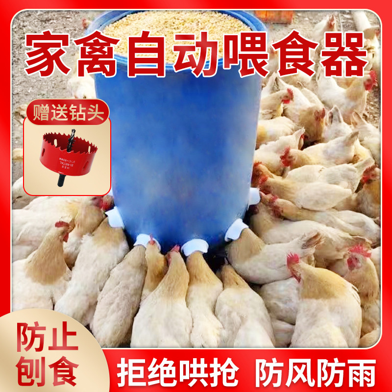 家禽自动喂食器小鸡鸭鹅专用饲料桶喂鸡神器鸽子食槽鸡自动下料器