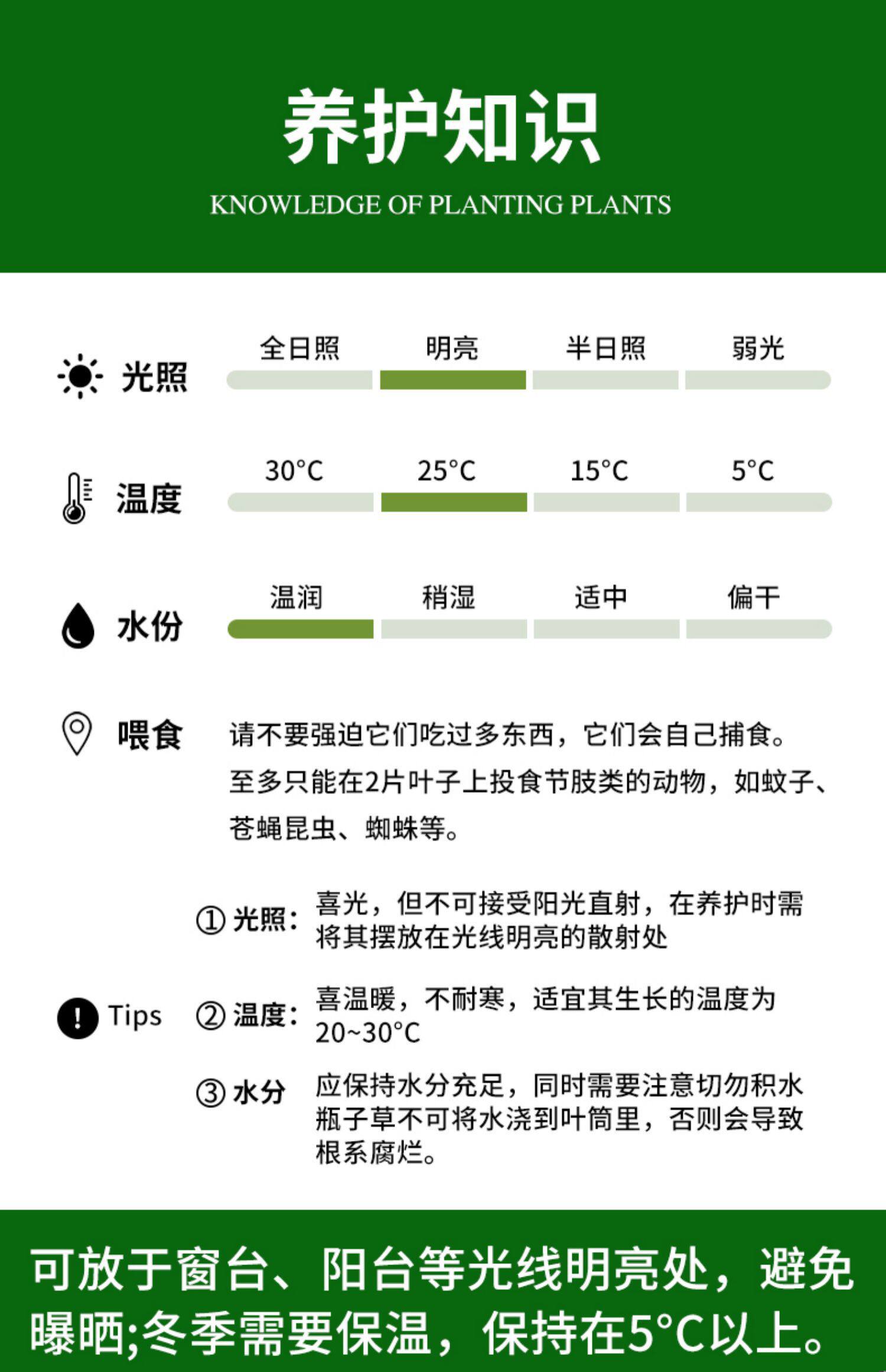 товар из китая 猪笼草盆栽捕蝇草食虫草食人花驱蚊虫超大猪笼草四季绿植趣味