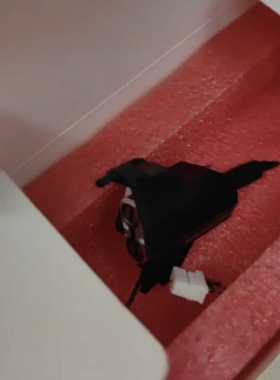 【星慕电子】01-D13334换能器