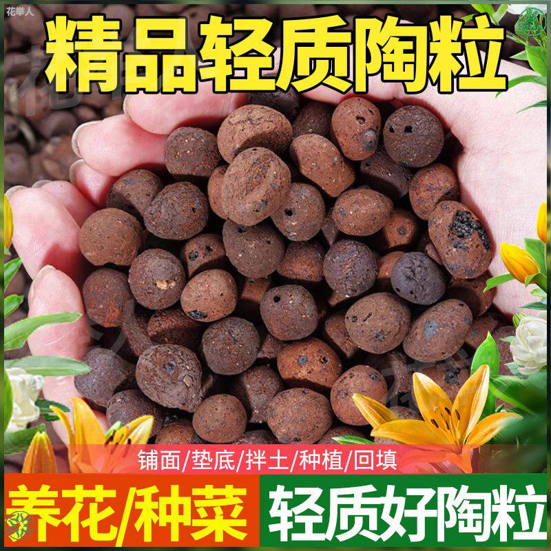 空心花卉垫底陶粒养花用防烂根透气花盆垫底铺面石多肉铺面土陶粒