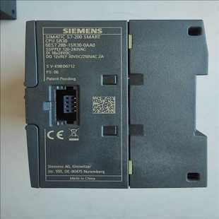 SR30 0AA0 200Smart 288 耶耶电子 1SR30