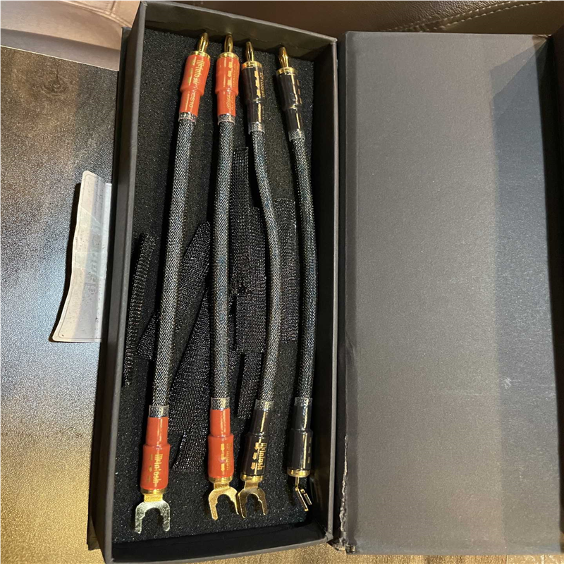 (询价)Mcintosh麦景图桥接线CS10-J,未使用过正