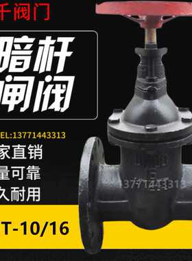 Z45T-10铸铁法兰暗杆闸阀/法兰楔式阀门/法兰污水闸DN405065DN4