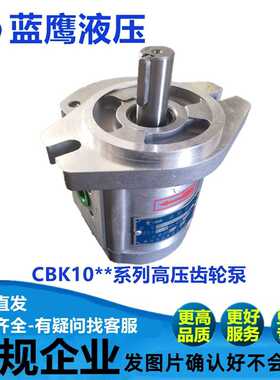 CBK1012/1014/1016/1018/1020/1025-B1FR-B1FL-A1FR-B1FR齿轮泵