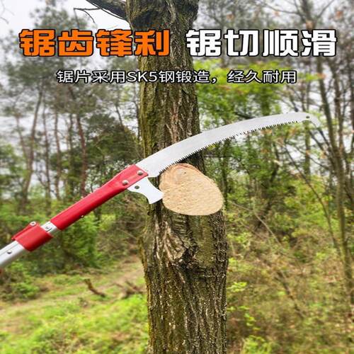 园林工具加长杆伸缩高枝锯手锯果树修剪修枝锯高空锯树枝修树锯子