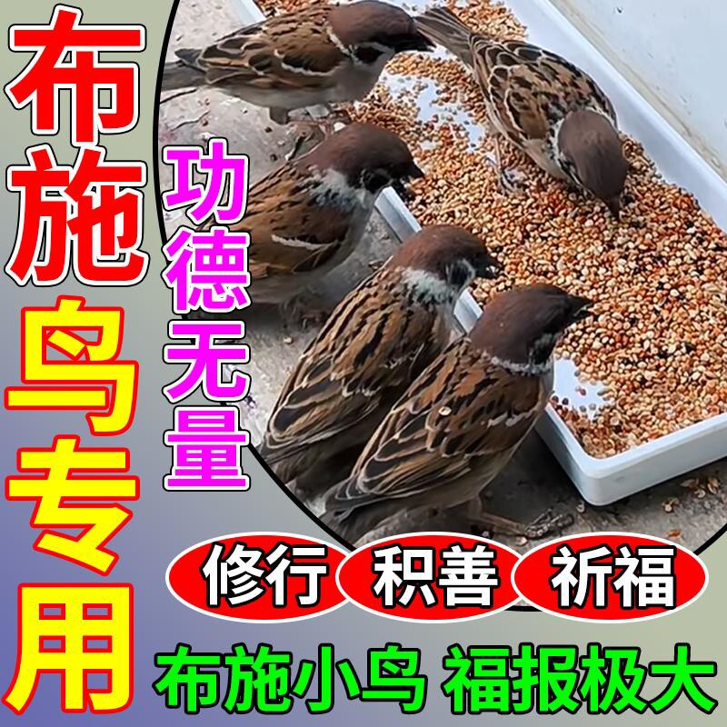 布施鸟食五色黍子喂麻雀斑鸠喜鹊鸟粮户外阳台投喂专用五谷带壳粮