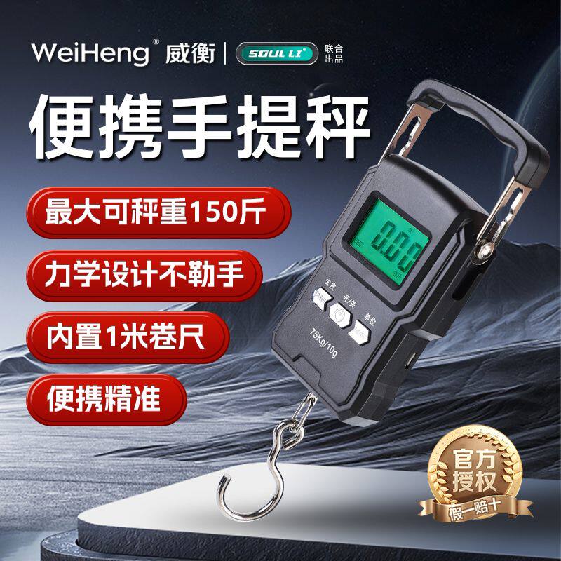 高精度手提电子秤小型快递称便携式家用钩用吊勾弹簧行李称鱼器