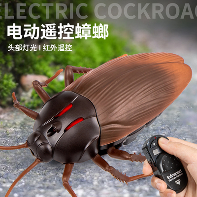 抖音遥控蟑螂玩具小强仿真电动小虫子假昆虫创意礼物整蛊道具