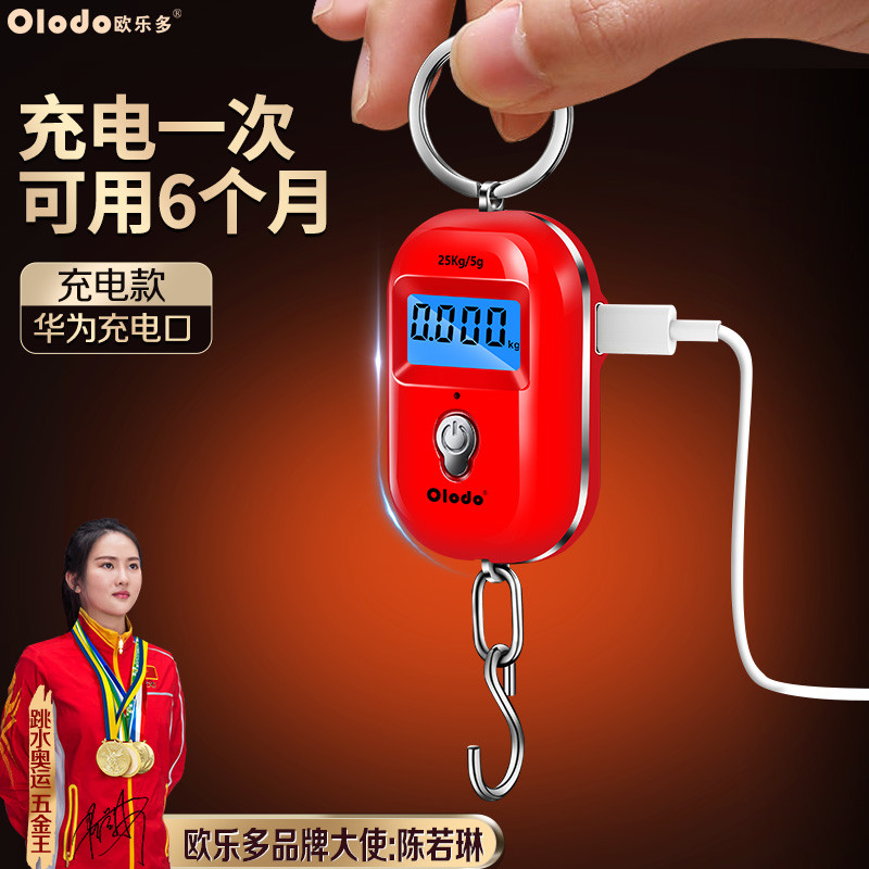 迷你手提电子秤高精度家用便携式小型弹簧秤25kg买菜挂秤随身