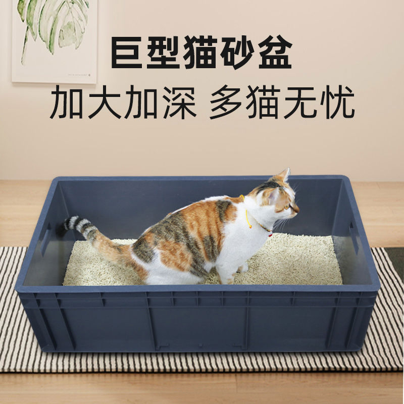 猫砂盆超大号80cm全开放式周转物流集装箱特大60斤巨大缅因猫
