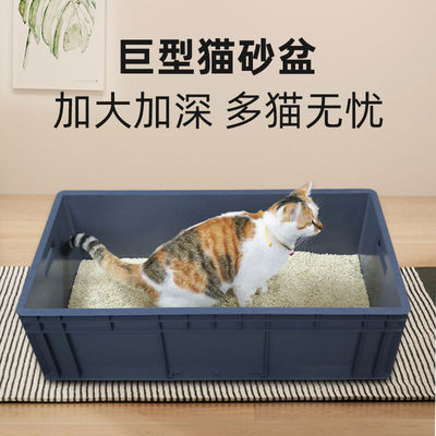 猫砂盆超大号80cm全开放式周转物流集装箱特大60斤巨大缅因猫
