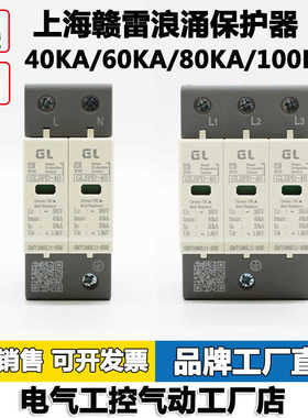 上海赣雷浪涌保护器40KA/60KA/80KA/100KA国电源避雷2P/4P/3