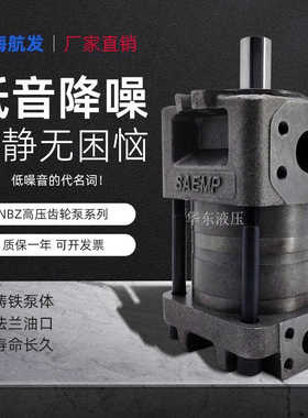 上海航发NBZ2-G10/12/16/2025/32/40/50/63/160F高压内啮合齿