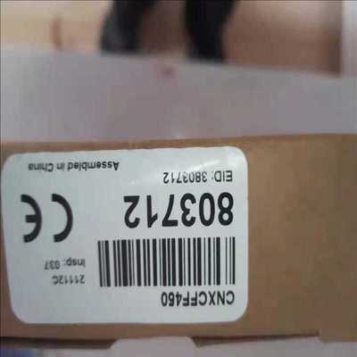 邦纳CNXCFF450 803712  TT1081（崽载电子）