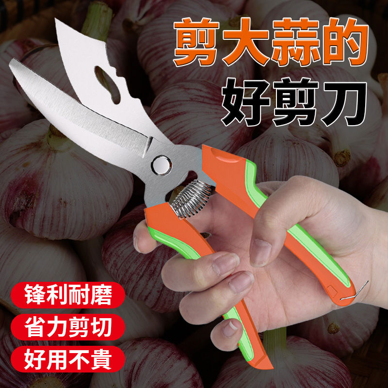 大蒜专用剪刀电动绞蒜头剪蒜神器修蒜根须杆剪切洋葱切葱根园