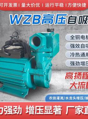 家用小型WZB吸泵70W自0来水5增压泵22V高KHE扬程太阳能水自井抽水
