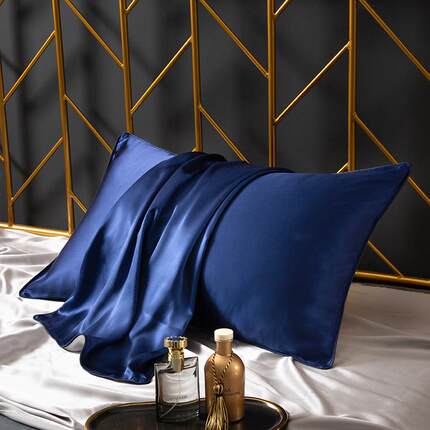 重磅真丝枕套4蚕丝枕芯套单人冰丝枕巾蚕丝桑头枕芯套枕ZHH皮48x7