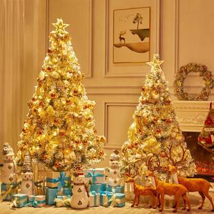 高档白色圣诞2树1.5米1.8米.绒1米3米密加植树雪树套餐仿真YAZ落