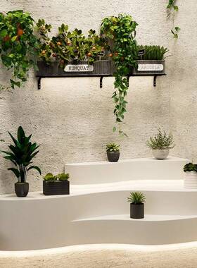 展示花陈列岛架陈URU列发光异形台展中示柜工艺品靠店墙鲜花店置