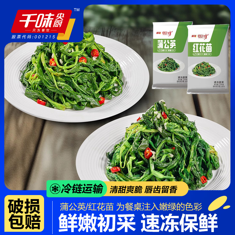 千味央厨蒲公英红花苗山野菜