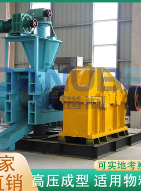 Manganese Ore Fine Powder Ball Pressing Machine 锰矿粉压球机