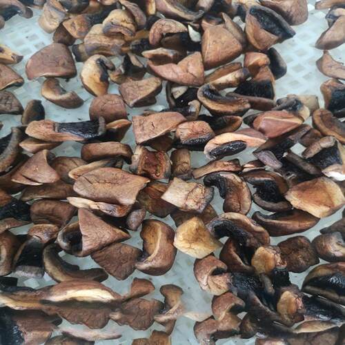 IQQ菇低温真空油炸果蔬脆真空油炸VF低机脱温油脱水香设备