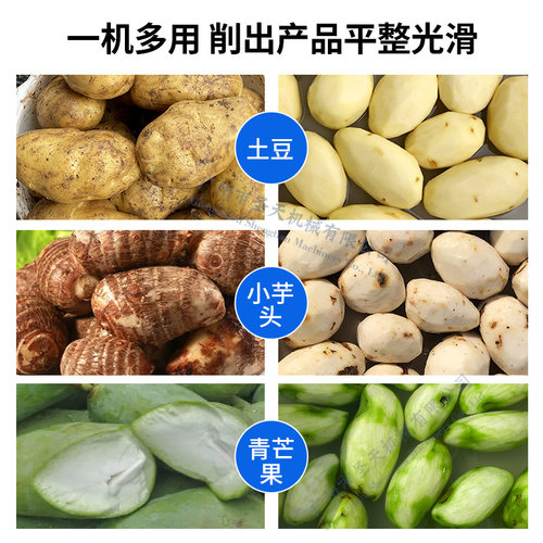 商用不锈钢马铃薯马蹄土豆削皮机  全自动定时出料土豆去皮机