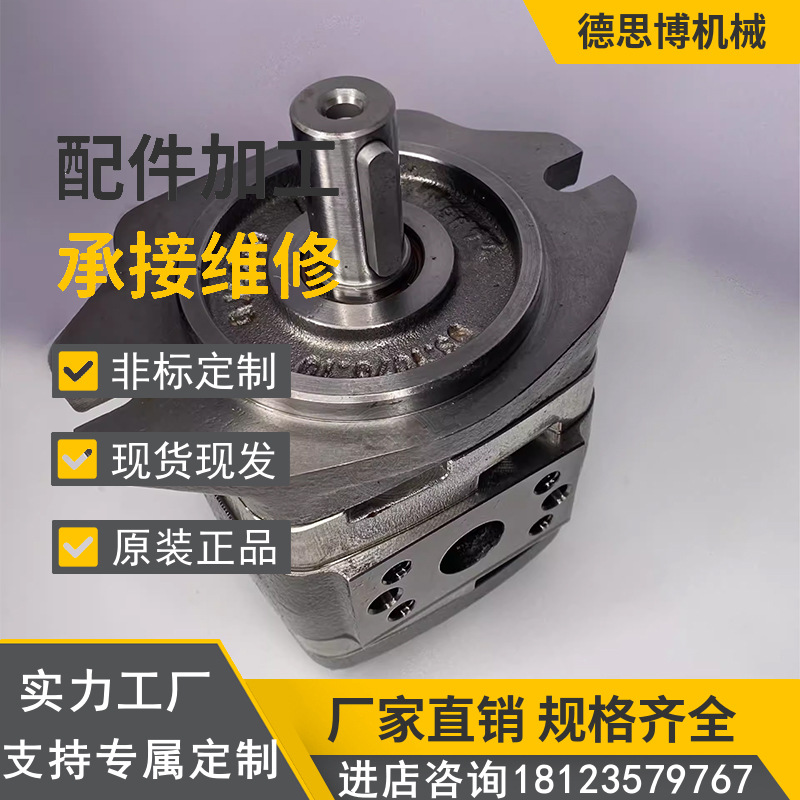 原装德国ECKERLE艾可勒齿轮泵 EIPC3-050RB23-10注塑机伺服齿轮泵